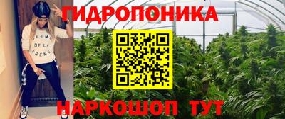 МДПВ Рязань