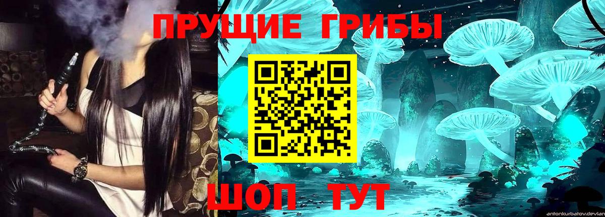 Псилоцибиновые грибы GOLDEN TEACHER  Вход с VPN  Северодвинск  Псилоцибиновые грибы Psilocybe 