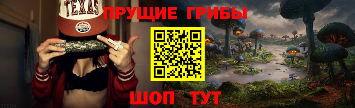 Галлюциногенные грибы Psilocybe Северодвинск
